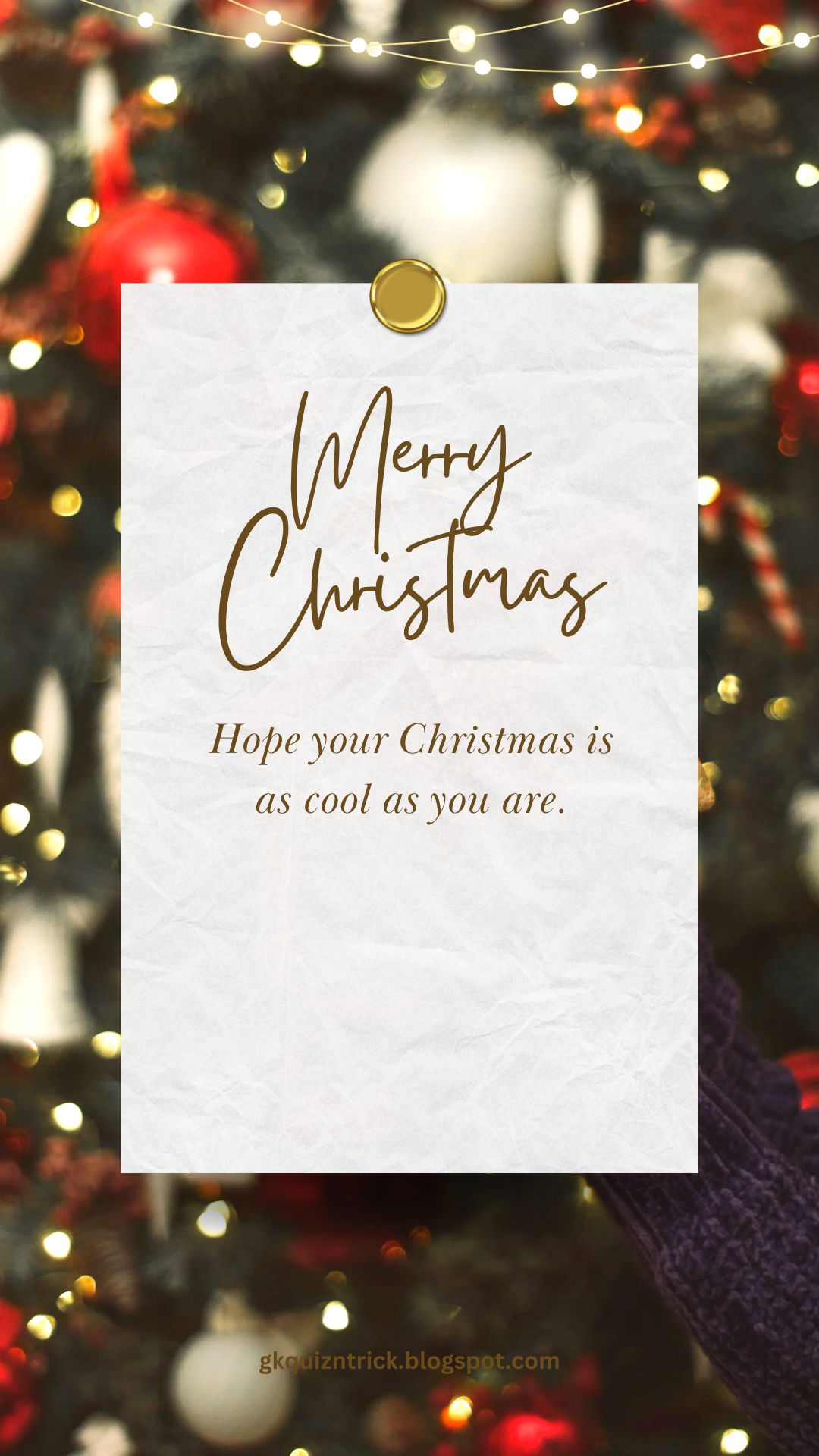 Christmas Quotes and Status