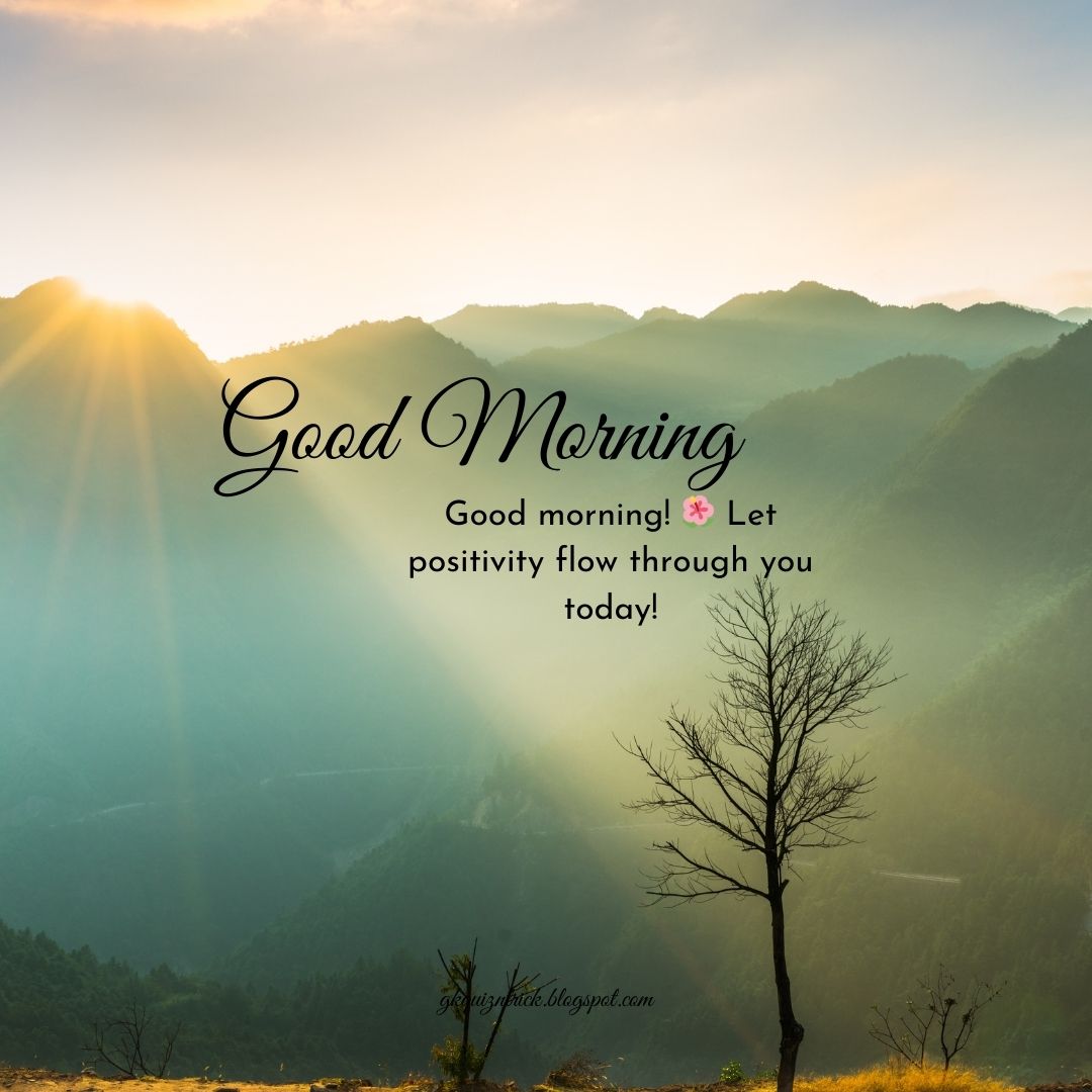 Good Morning Quotes