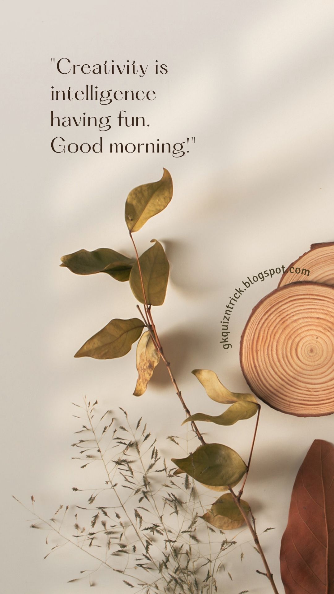 Good Morning Quotes