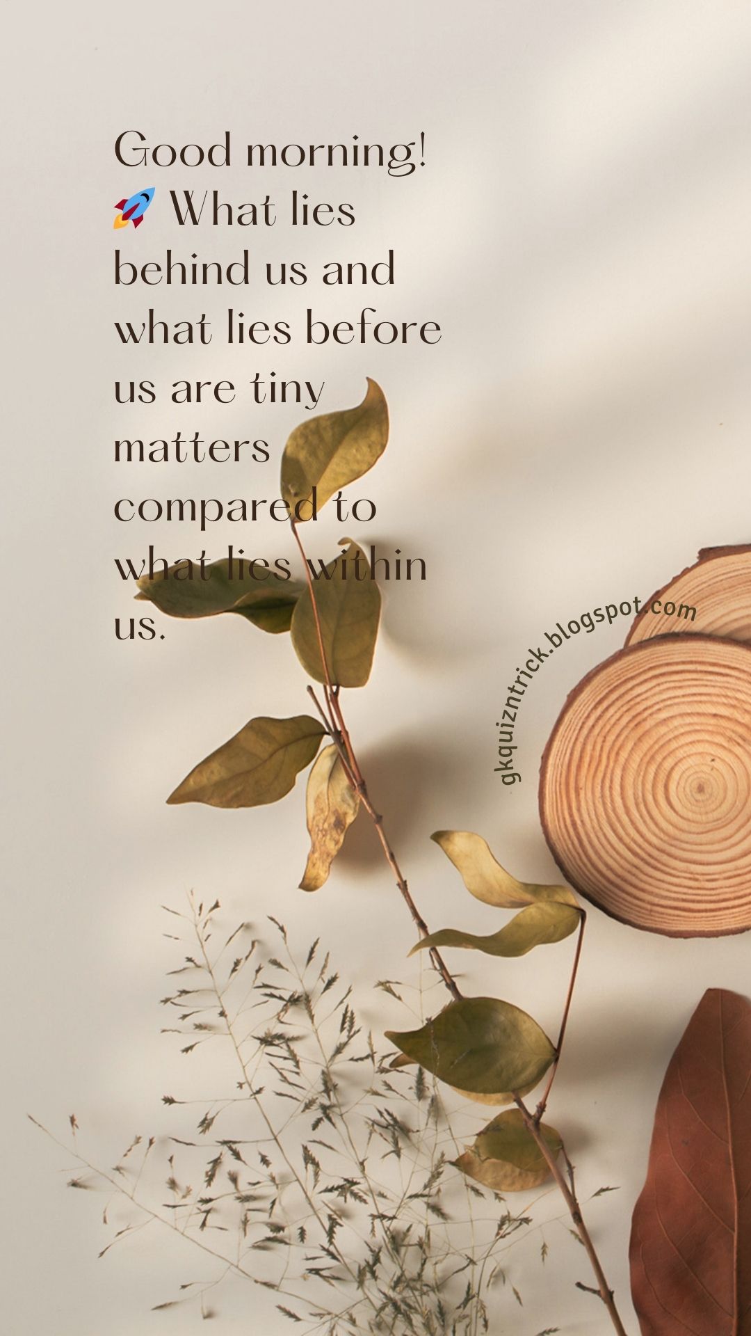 Good Morning Quotes