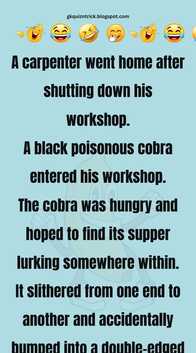 Funny Jokes